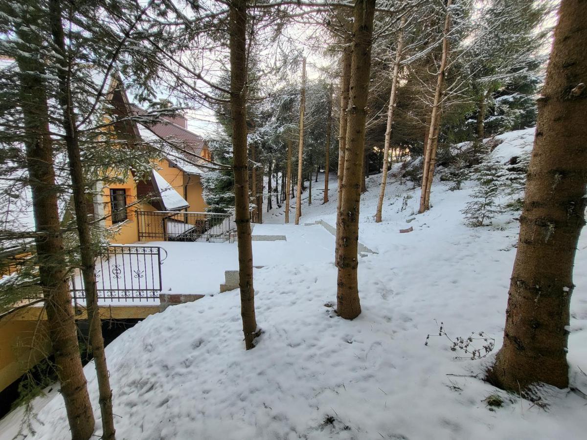 Pod Laskiem Krosnica  Dış mekan fotoğraf